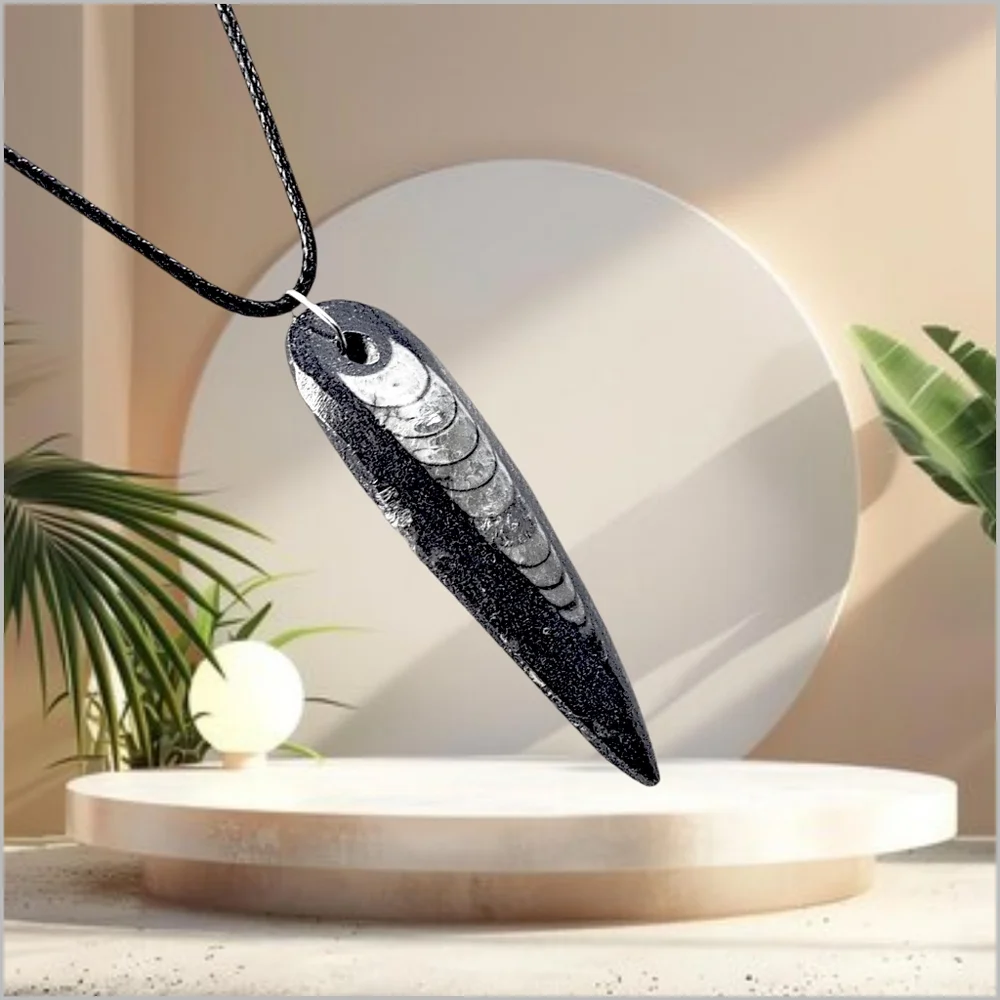 Genuine Fossilized Orthoceras Pendant with Black Cord Necklace